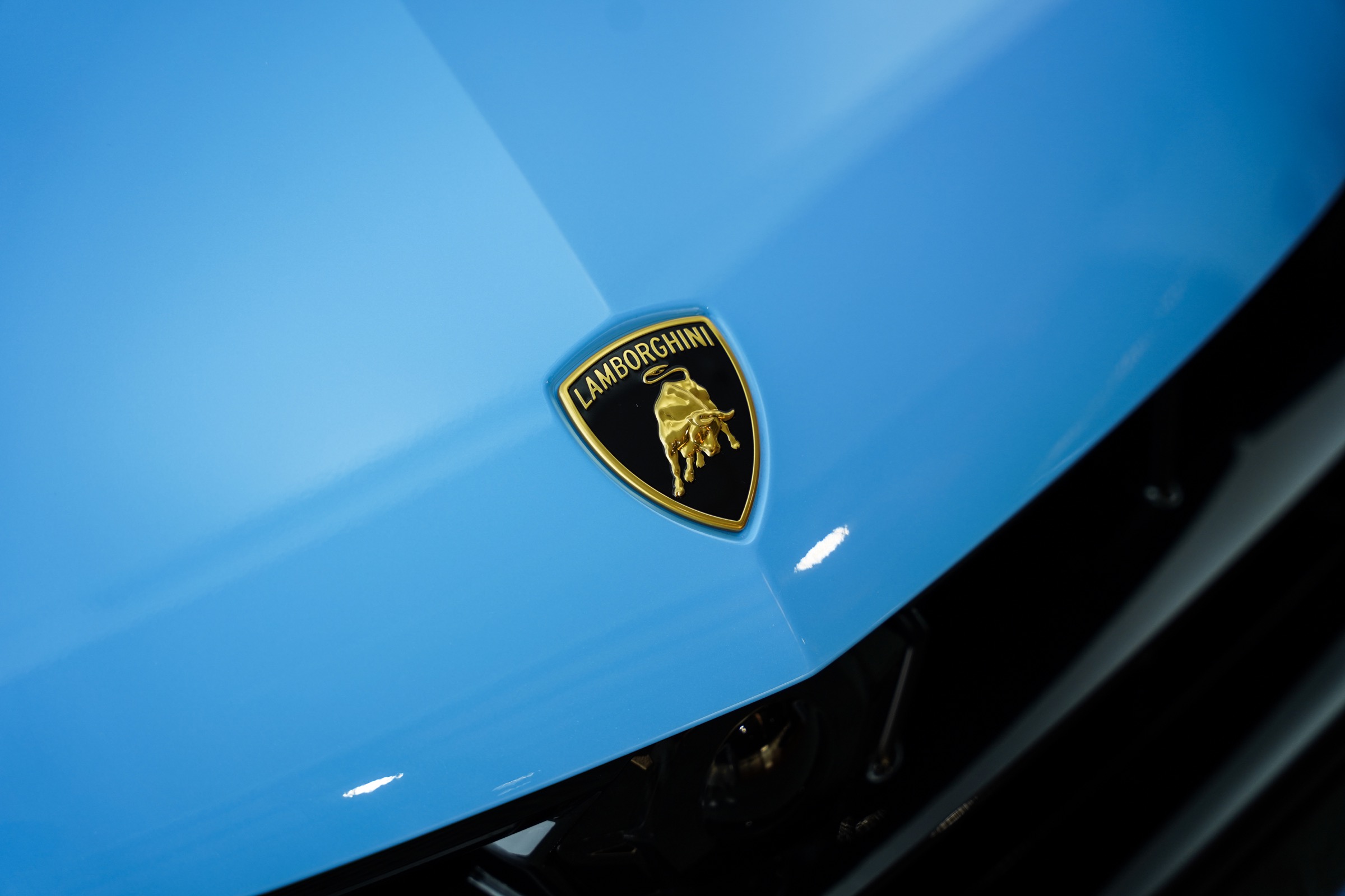 Blue Lamborghini paint finish and badge detail